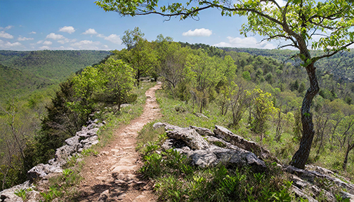 Ozark Highlands Trail